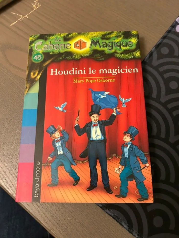 Livre la cabane magique numéro 45