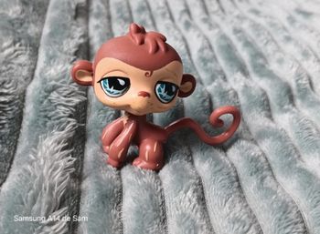 Petshop singe 485