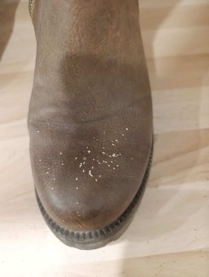 Bottines - photo numéro 3