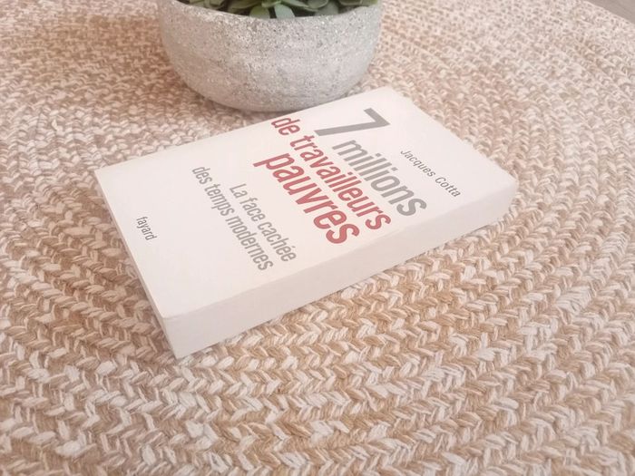 7 Millions de travailleurs pauvres - photo numéro 4