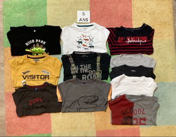 Lot 11 tee-shirt 👕 à manches longues  - Garçon 👦 - 5 ans - TBE