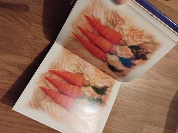 Livre photo anne geddes - photo numéro 3