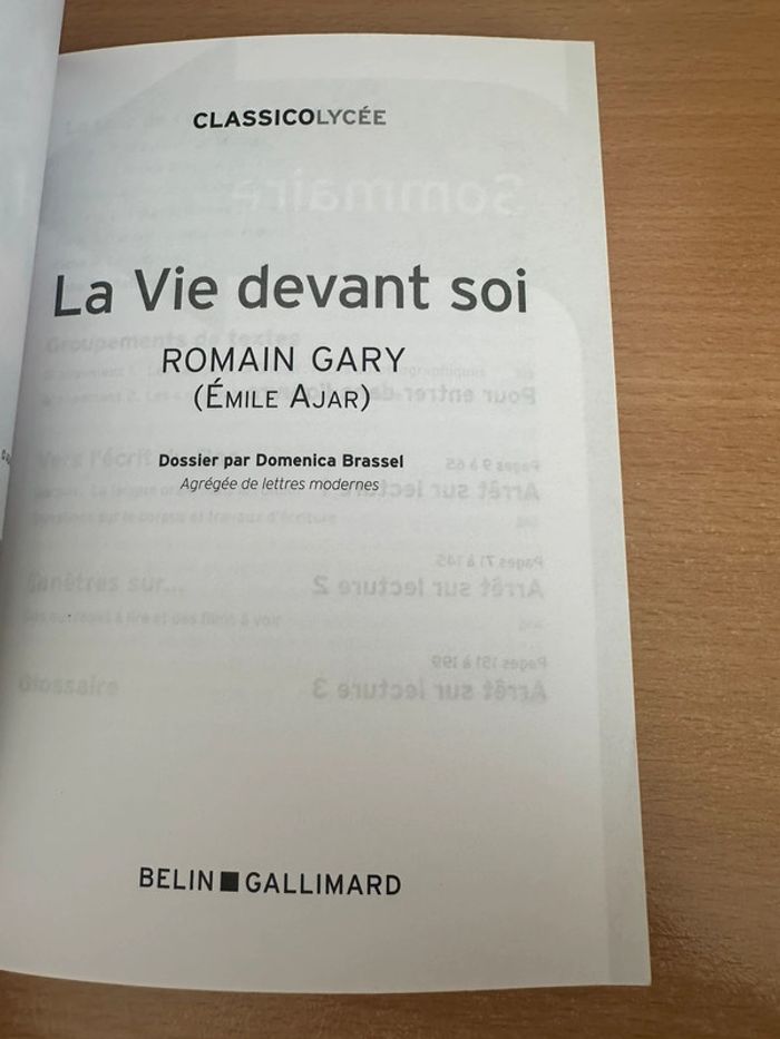 Livre La Vie devant soi Neuf - photo numéro 3