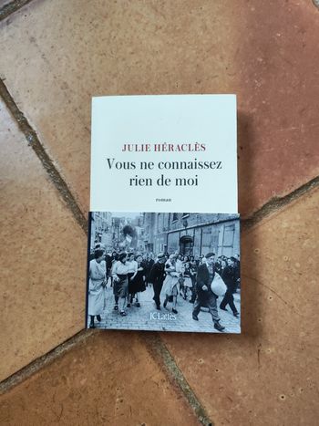 Vous ne connaissez rien de moi, roman de Julie Héraclès