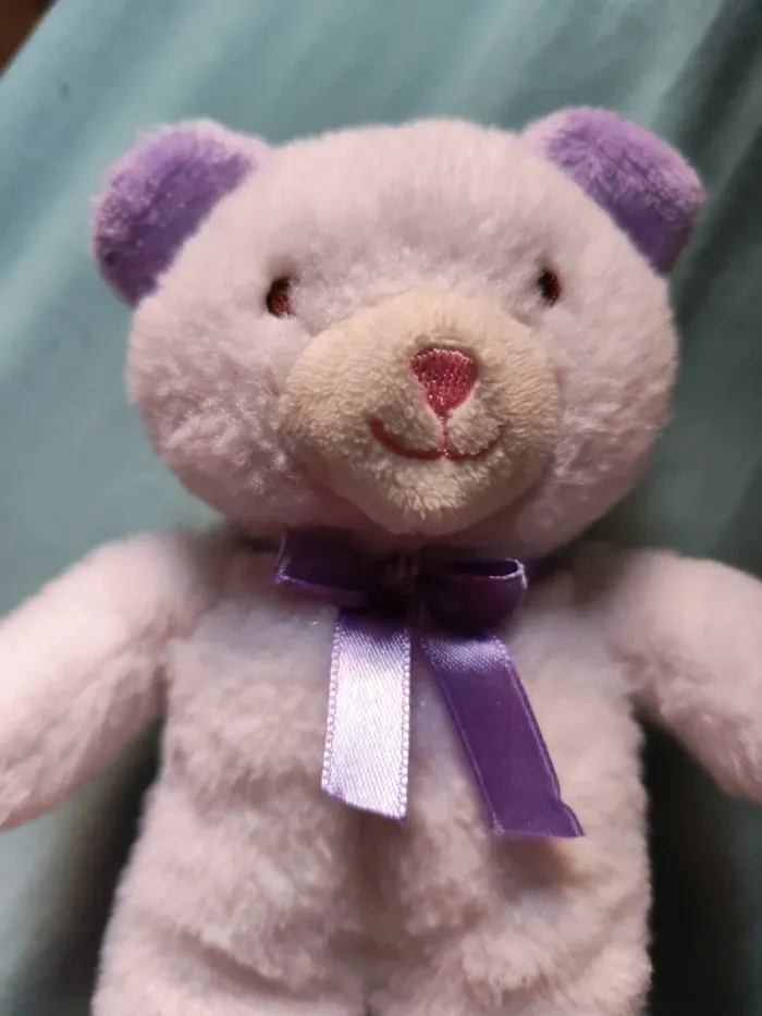 Ourson peluche - photo numéro 2