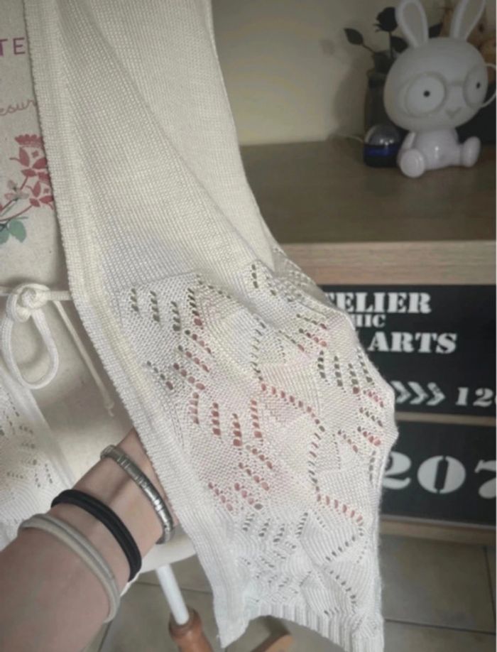 Gilet sans manche - photo numéro 3