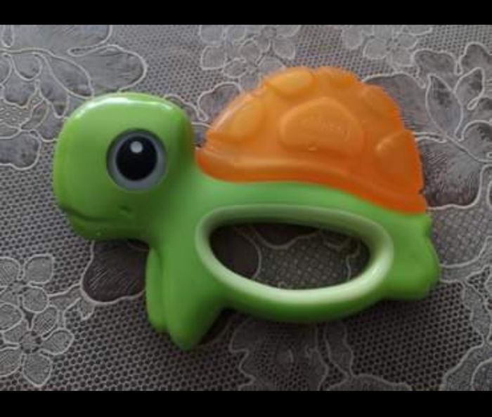 Tortue pour le bain