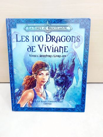 📚 Livre jeux : Grund les 100 dragons de Viviane