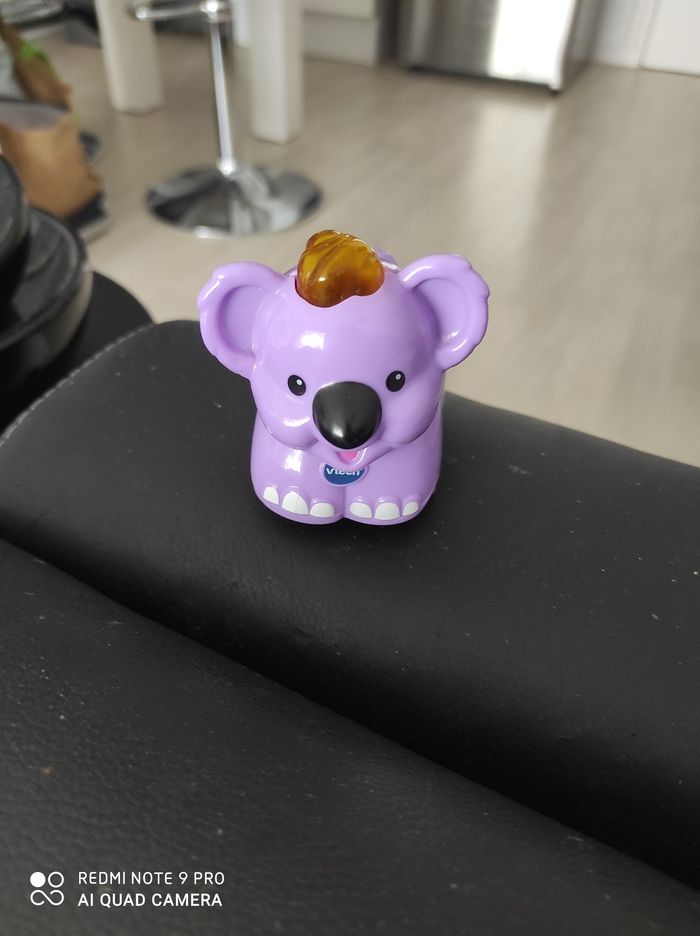 Tut tut Animo koala - photo numéro 2