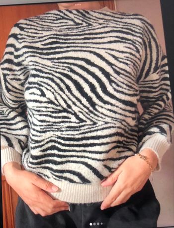 Pull imprimé zèbre XS H&M