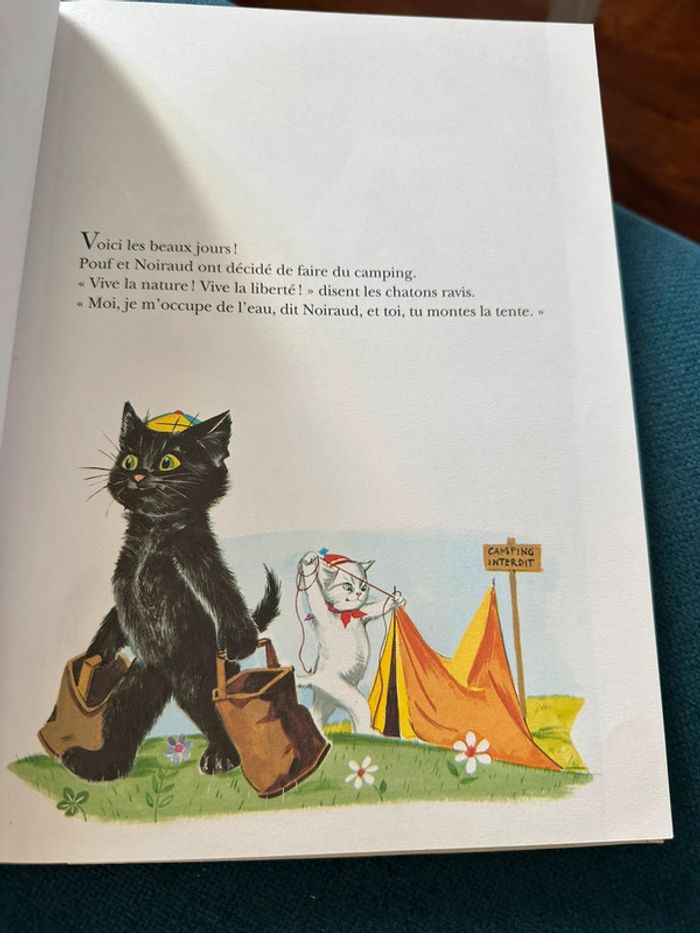 Grand album livre 156 pages Les Amis de Caroline Pierre Probst Hachette Jeunesse reliure bleu - photo numéro 4