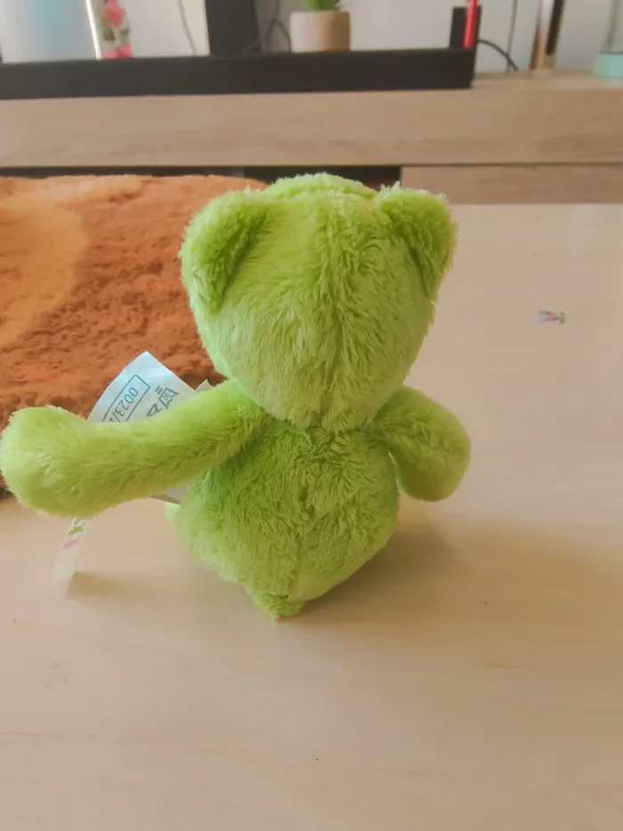 Petit ours vert - photo numéro 4