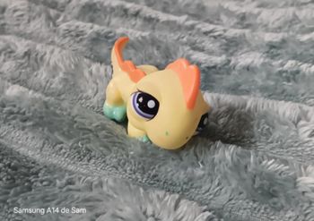 Petshop iguane 1648
