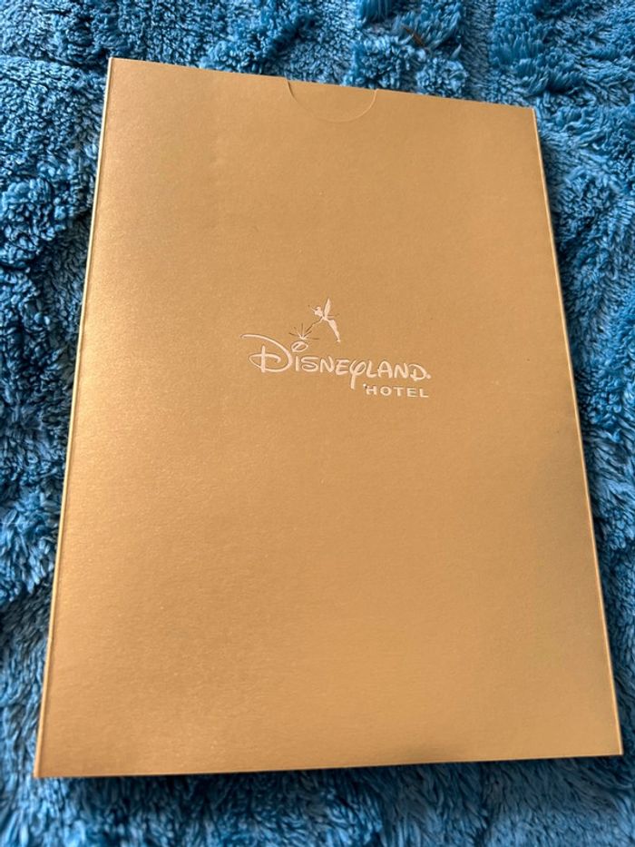 Carnet Disneyland hôtel neuf avec jaquette