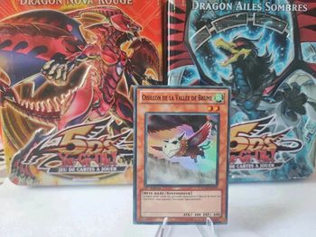 Carte Yu-Gi-Oh! Oisillon de la vallée de brume 1 ère édition ha02-fr013