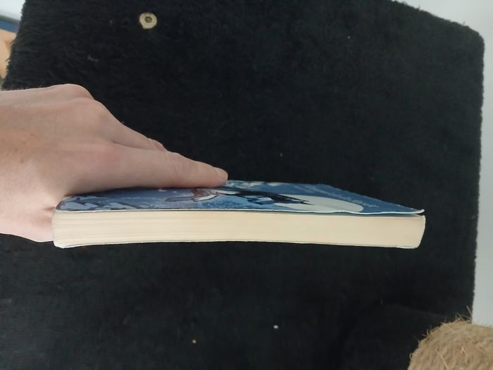 Livre enfant - photo numéro 3