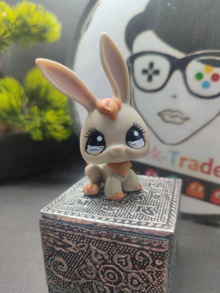 Lps970 My Littlest Petshop Pet Shop LPS Lapin Rabbit bunny Lièvre 1036