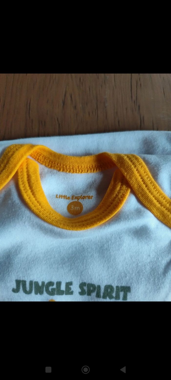 Lot de 4 bodies manches longues 3 mois - photo numéro 4