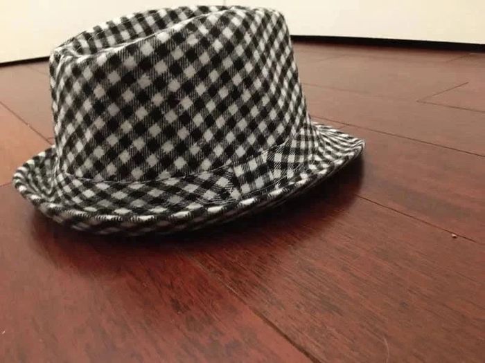 Chapeau Trilby neuf - photo numéro 2