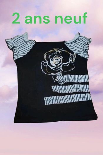 Tee shirt 2 ans neuf