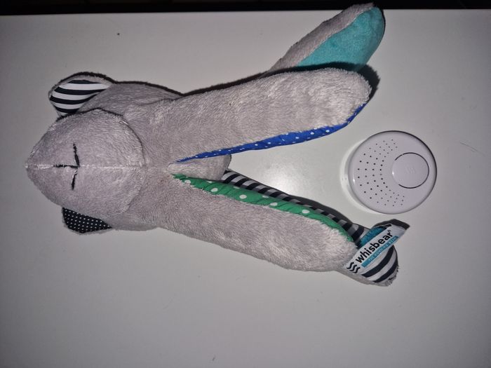 Oursons whisbear - photo numéro 3