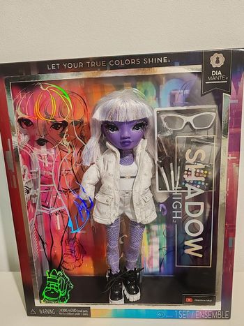Poupée rainbow high 