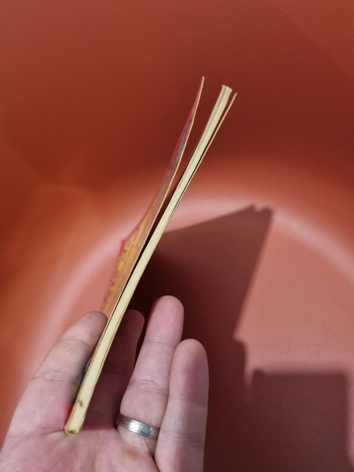 La jeunesse de Richard crèvecœur De Peter pluut les humanoïdes associés. 1984 - photo numéro 8