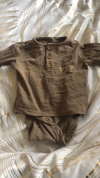Tee shirt / body