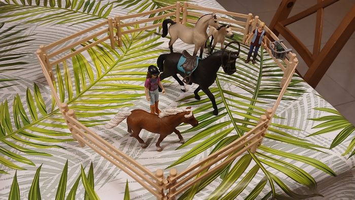 Ensemble schleich - photo numéro 2