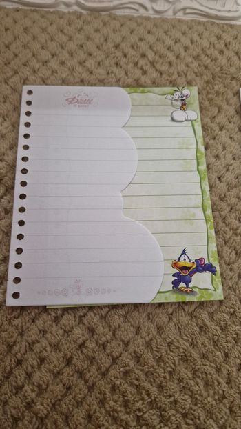 Lots de 6 feuilles diddl is back carnet