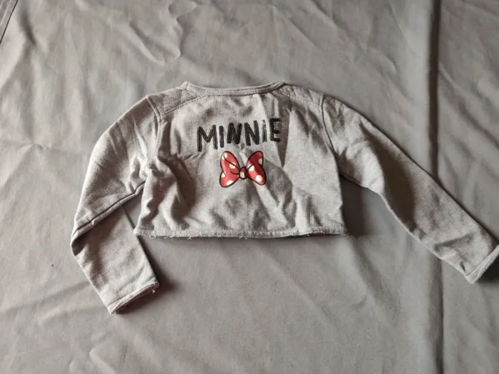 Lot gilets Minnie - photo numéro 3