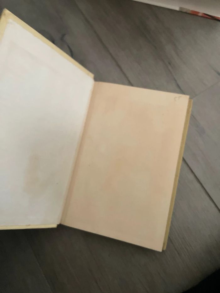 Ivanhoe - photo numéro 5