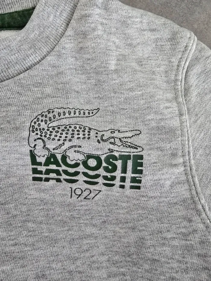 Sweat lacoste gris - photo numéro 3