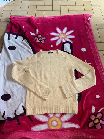 Jolie pull femme in extenso