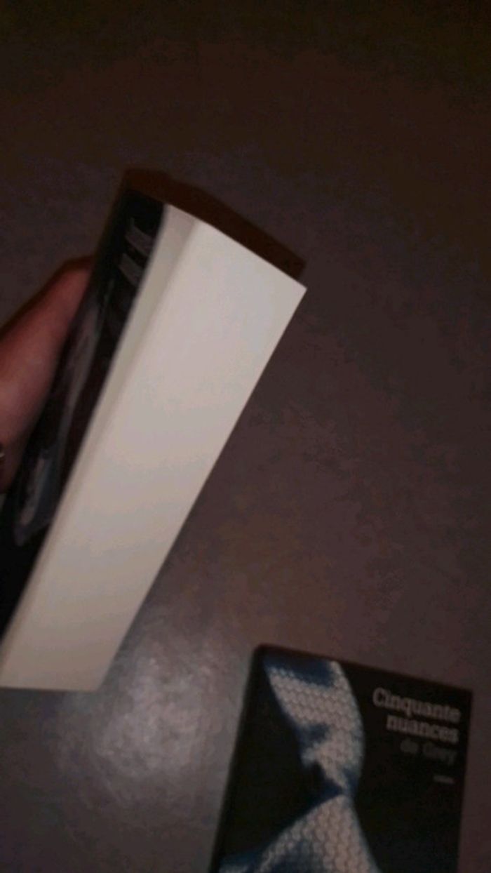 Livre - photo numéro 4