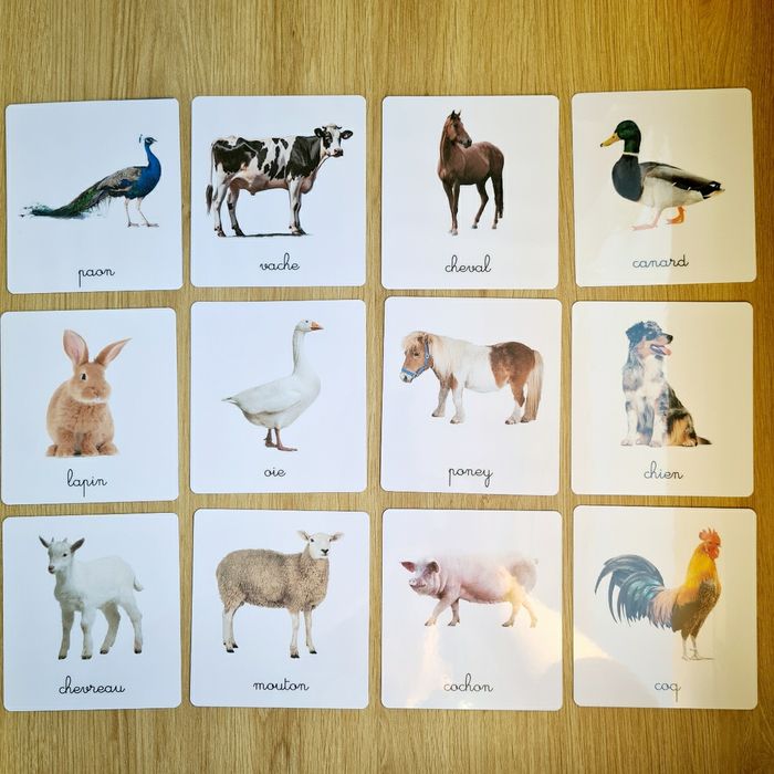 24 imagiers Animaux de la ferme / cartes de nomenclature - photo numéro 5