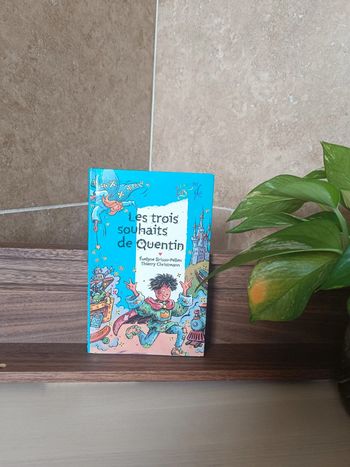 Livre les 3 souhaits de Quentin