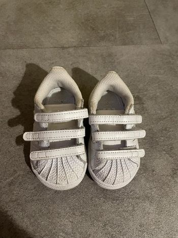 Adidas superstar blanche