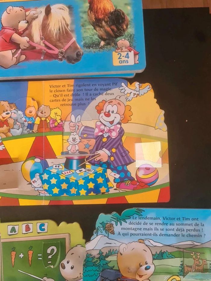 Lot livre victor - photo numéro 11