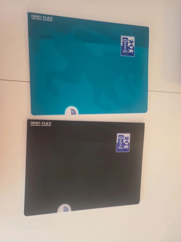 2 cahiers oxford open flex 24x32