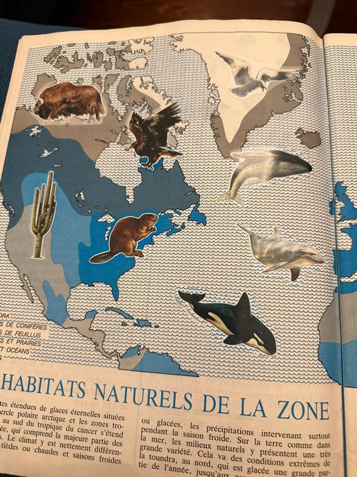 Album Panini complet WWF Nature en danger fonds mondial pour la nature stickers autocollants livre - photo numéro 5