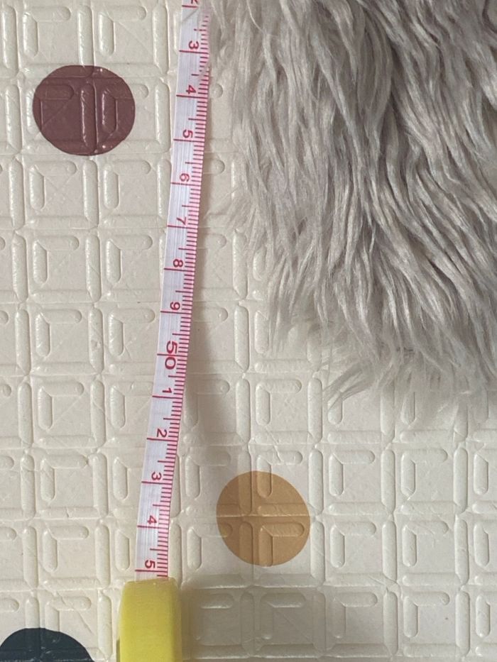 Grand loups - photo numéro 2