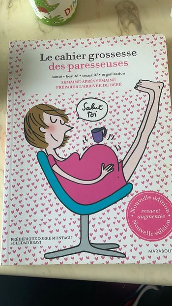 Le cahier de grossesse des paresseuses