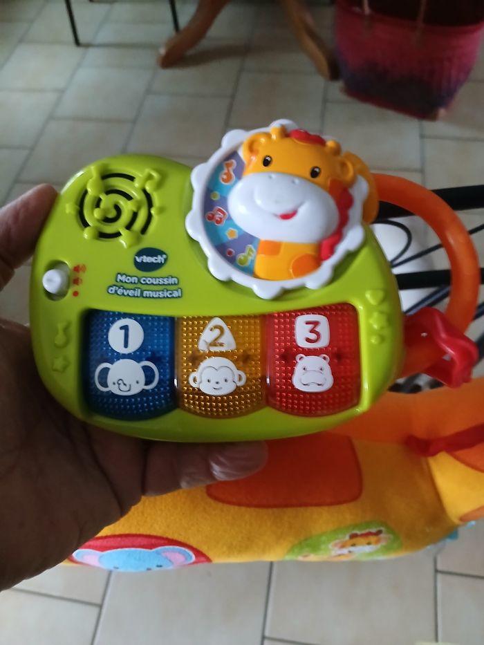 Girafe - photo numéro 5