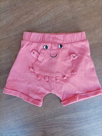 Short (1 an)