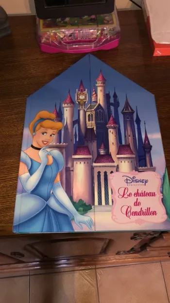 Le château de cendrillon