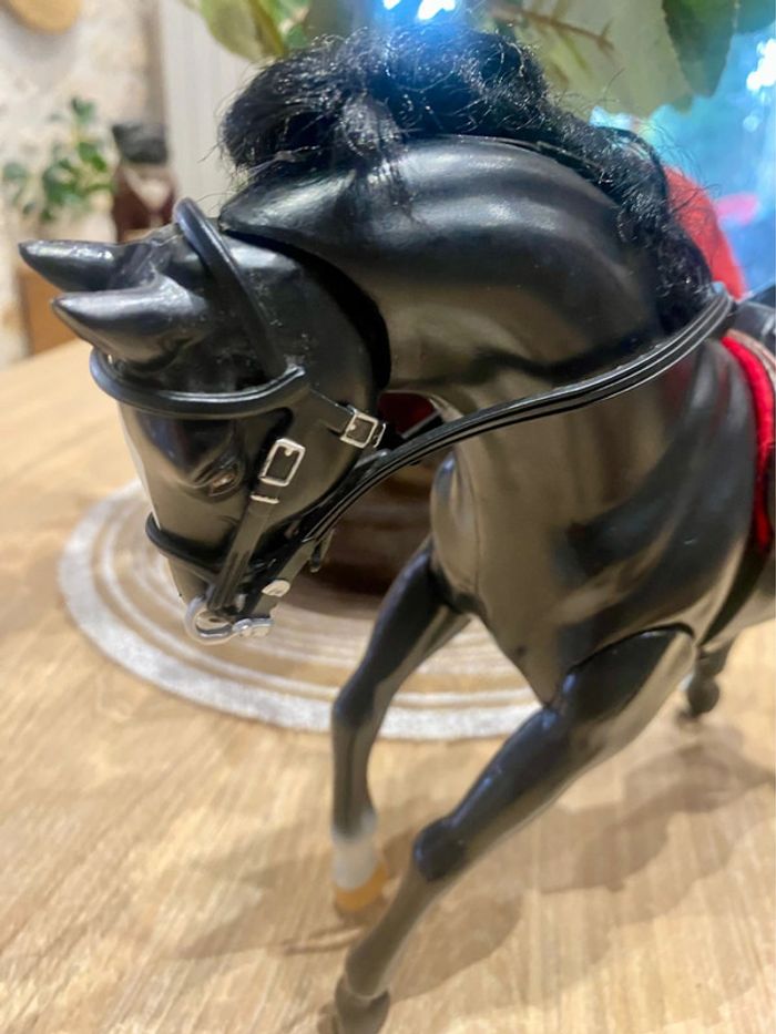 Zorro et son cheval Tornado qui henni - photo numéro 14