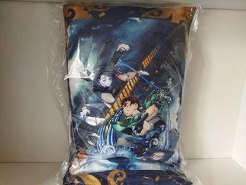 Demon Slayer coussin tanjiro enmu train de l'infini