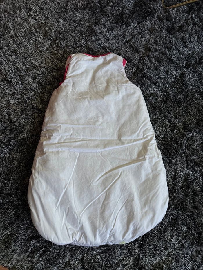 turbulette tog 2 - photo numéro 2