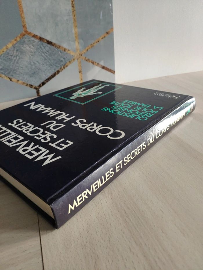Livre grand format merveilles et secrets du corps humain questions réponses famille - photo numéro 4